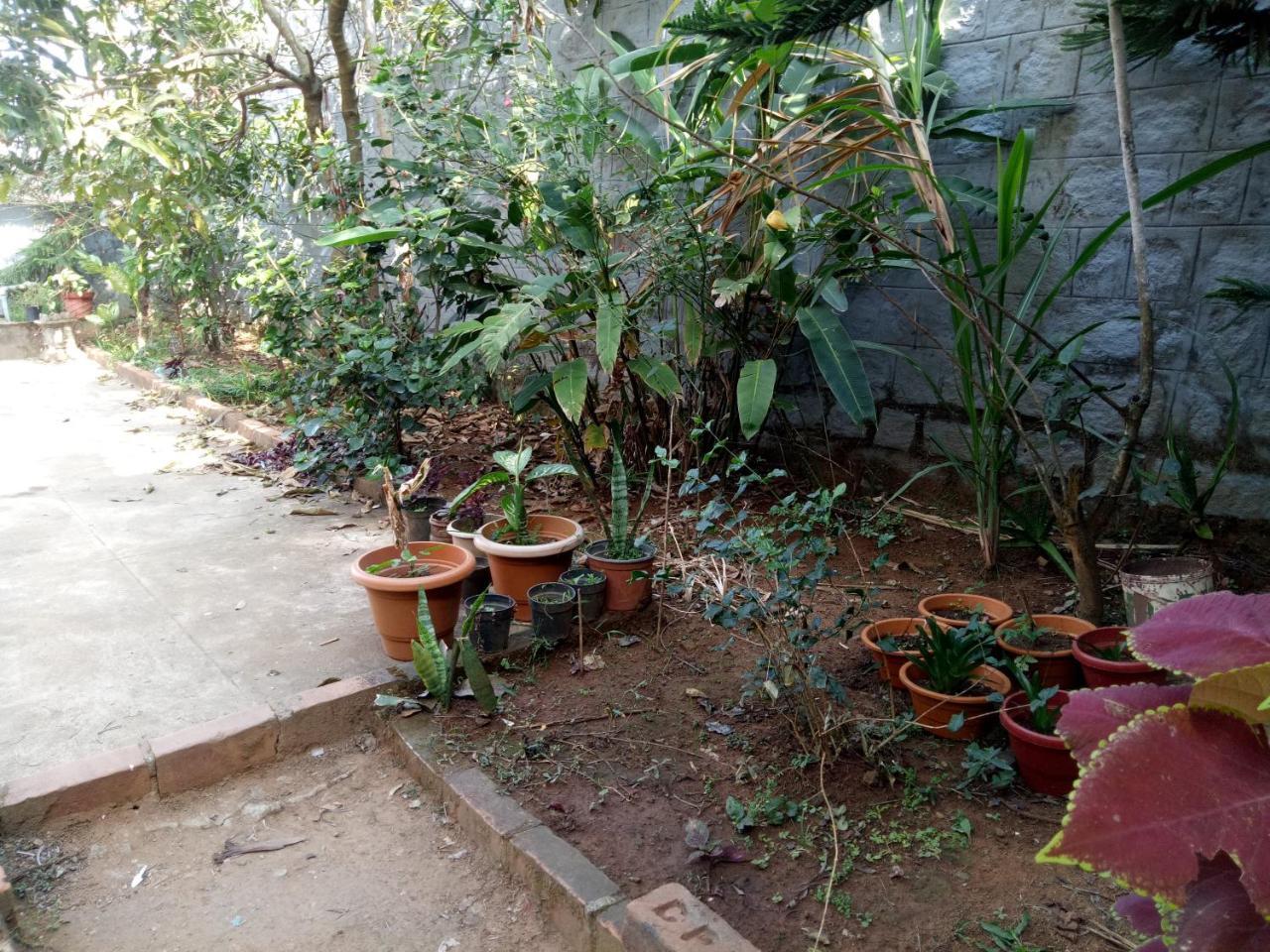 Coorg Villas Madikeri Luaran gambar